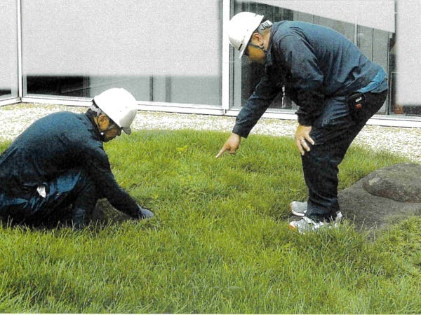 （東京周辺）造園・植栽工程管理（主に植栽管理）（正社員・年間所定休日１２５日・完全週休２日）