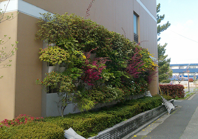 壁面・屋上・室内緑化管理